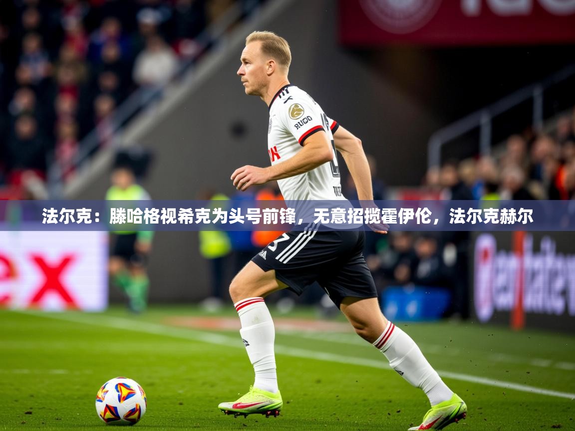 2025华体会登录首页法尔克:滕哈格视希克为头号前锋,无意招揽霍伊伦,法尔克赫尔 第4张