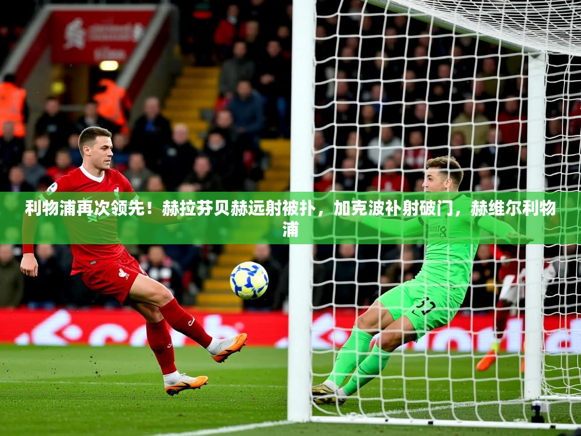 2025华体会登录手机版最新利物浦再次领先!赫拉芬贝赫远射被扑,加克波补射破门,赫维尔利物浦 第2张