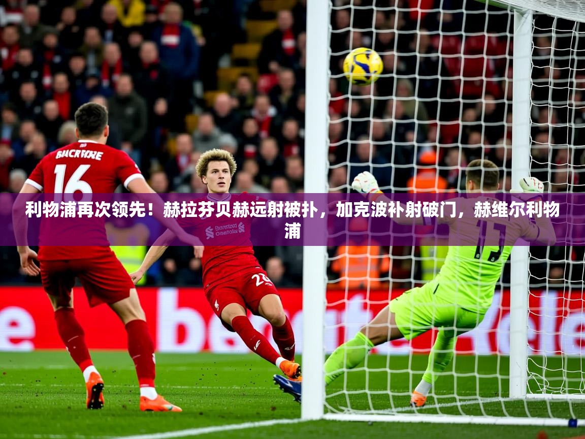 2025华体会登录手机版最新利物浦再次领先!赫拉芬贝赫远射被扑,加克波补射破门,赫维尔利物浦 第1张
