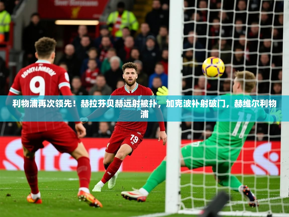 2025华体会登录手机版最新利物浦再次领先!赫拉芬贝赫远射被扑,加克波补射破门,赫维尔利物浦 第3张
