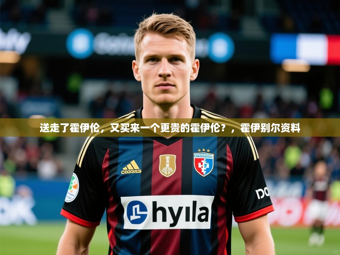 2025华体会登录最新登录地址送走了霍伊伦，又买来一个更贵的霍伊伦？，霍伊别尔资料  第3张