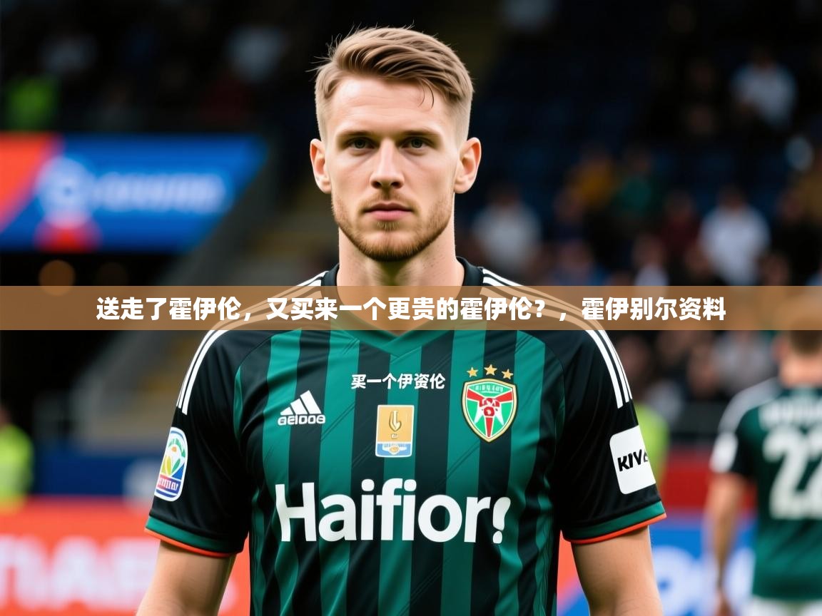 2025华体会登录最新登录地址送走了霍伊伦，又买来一个更贵的霍伊伦？，霍伊别尔资料  第2张