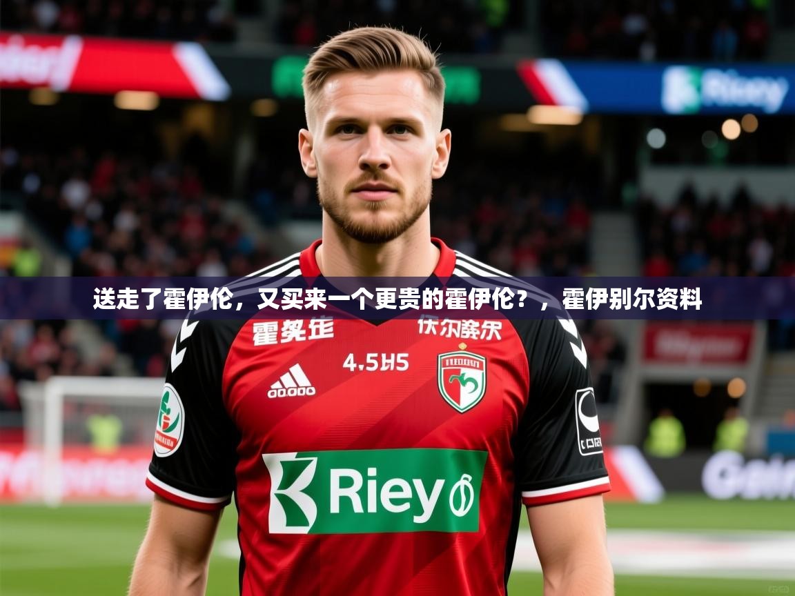 2025华体会登录最新登录地址送走了霍伊伦，又买来一个更贵的霍伊伦？，霍伊别尔资料  第4张